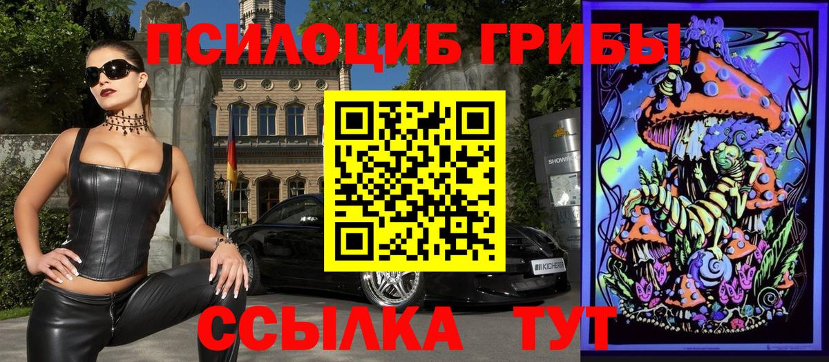 Галлюциногенные грибы Psilocybe Усолье-Сибирское