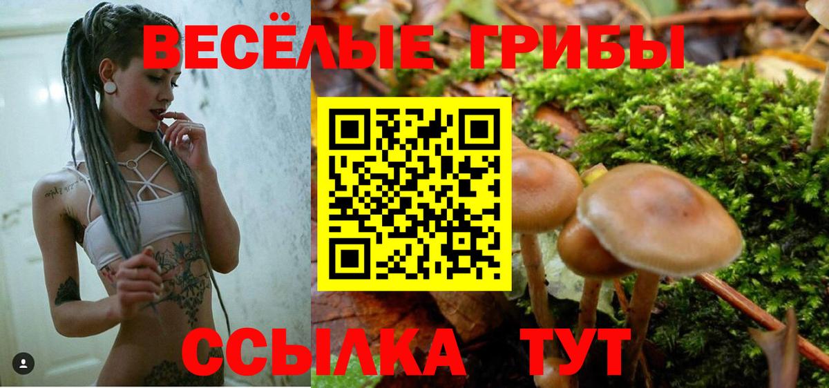 купить  цена  Вход с VPN  Усолье-Сибирское  Галлюциногенные грибы Psilocybine cubensis 